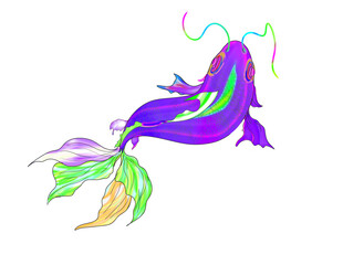 a purple koi fish on a white background