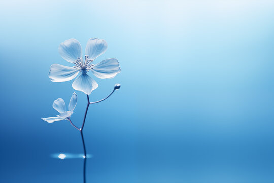 Soft focus of a flower on a blue background in the style of bokeh panorama with copy space