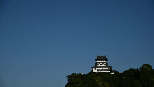 航空自衛隊岐阜基地所属機による異機種大編隊と犬山城 （愛知県犬山市, 2023年11月）