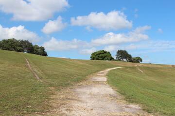 Green hill with a dirt trail