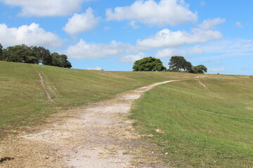 Fototapeta na wymiar Green hill with a dirt trail