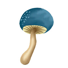 Watercolor Mushroom Illustration