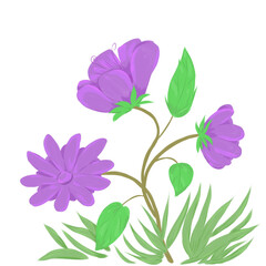 Purple flower type 44