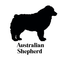  Australian Shepherd Dog silhouette breeds dog breeds dog monogram logo dog  vector