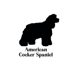 American Cocker Spaniel Dog silhouette breeds dog breeds dog monogram logo dog  vector