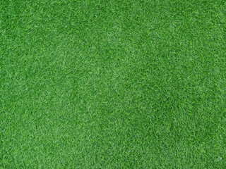 texture closeup nature green grass outdoor garden landscape 