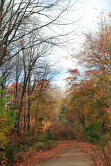 Autumn landscape with colorful trees