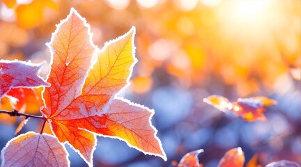 A stunning and picturesque close-up of an autumn or winter scene