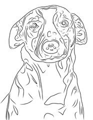 Fototapeta premium PICCOLA OUTLINE