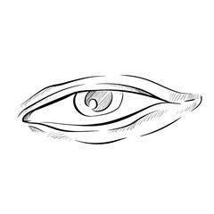 Eye handdrawn illustration