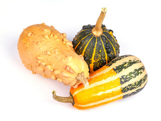 Three decorative pumpkins different varieties on the table - 672502306