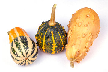 Three decorative pumpkins different varieties on the table - 672502309
