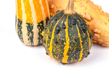 Three decorative pumpkins different varieties on the table - 672502320
