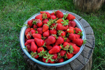 strawberries in a bowl