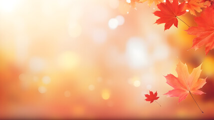 Naklejka na ściany i meble Golden yellow orange red maple leaves close-up on the blurred background. Sunlight. Bright autumn foliage background. Fall panoramic backdrop. Copy space. Web Banner