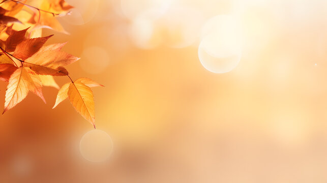Golden yellow orange red maple leaves close-up on the blurred background. Sunlight. Bright autumn foliage background. Fall panoramic backdrop. Copy space. Web Banner