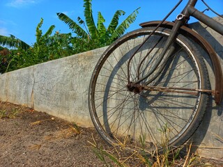 old bicycle in the garden