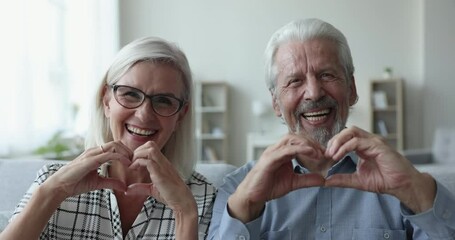 Happy elderly husband and wife making finger hearts, showing symbol of love, romance, like hand sign, looking at camera, smiling, posing on home sofa, promoting kindness, happiness. Head shot portrait - Powered by Adobe