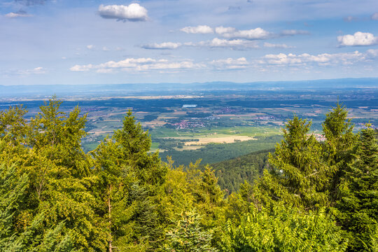 La plaine d&rsquo;Alsace vue du mont Sainte Odile 