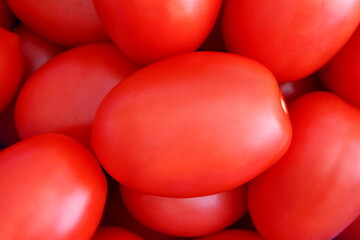 fresh organic red roma tomatoes,top view