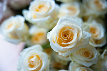 Bouquet of Flowers on Porch - Roses, Peony - White, Peach, Pink, Blush, Orange, Yellow, Green, Mauve - Wedding, Ceremony, Reception, Bokeh, Blur, Background, Backyard, Afternoon, Sunny, Arrangement