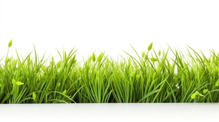 Fresh Spring Green Grass on White Background - Serene Nature ,ai generated