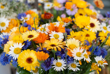 colourful flowers