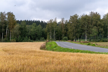 Country road