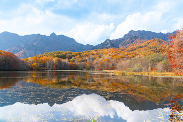 秋の紅葉の山と水面 長野県戸隠山と鏡池
