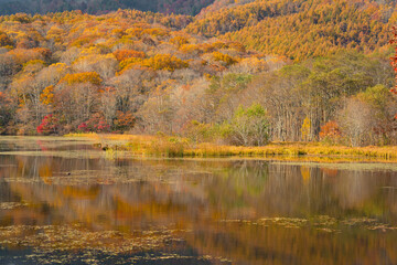 秋の紅葉と水鏡の湖畔