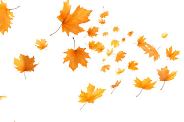 Leaves Falling in Isolated Motion white background