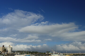 Obraz premium 青空と雲の片瀬漁港周辺の風景