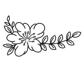 Obraz premium flower 