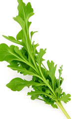 Fresh green arugula leaves isolated on white background. Studio shot.