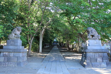 Fototapeta premium 大磯 高来神社周辺の風景