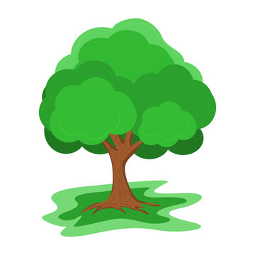 vector green tree with shade in summer