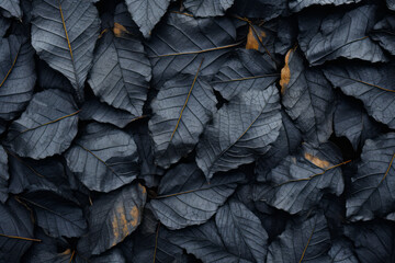 Fondo de hojas de plantas de tonos oscuros. - obrazy, fototapety, plakaty