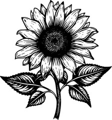 Hand-drawn Sunflower Botanical Garden Vintage Outline Icon