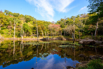 六甲山の中腹にある横池。青空と木々が水面に映り込む