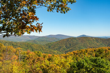 Fototapeta na wymiar Panoramic view of fall color in Shenandoah National Park.