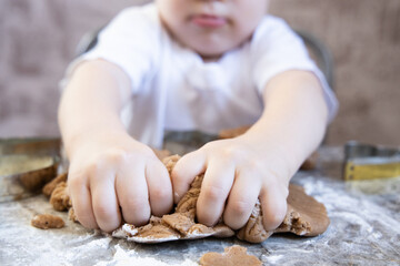 Little boy is making ginger cookies on the kitchen