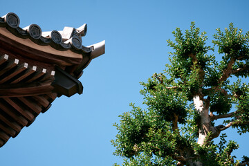 Detail of a Temple in Nagoya, Japan