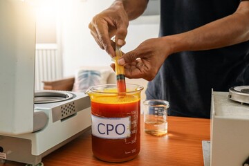 Laboratory workers in palm oil plantations analyze the quality of CPO or crude palm oil.