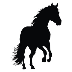 Horse Silhouette Against White Background