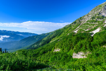 Naklejka premium The snow-capped mountain peaks in the tropical forest.