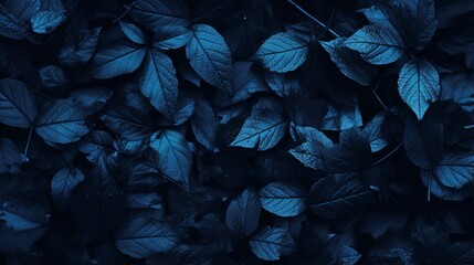 Fototapeta premium Dense cluster of dark blue leaves forms a natural botanical pattern across the frame to serve as a versatile abstract background.
