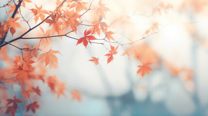 Autumn trees with leaves on light background