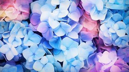 Obraz premium Enchanting Hydrangeas Watercolor Seamless Pattern, Background Image, Hd