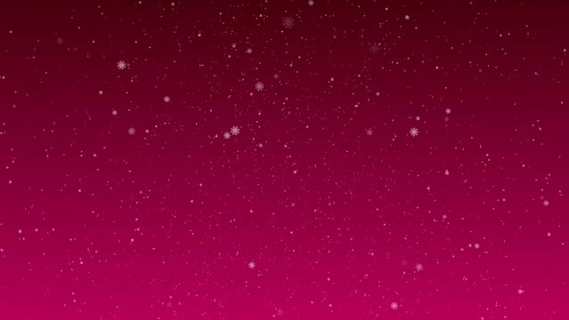 White painted snowflakes fall on a gradient , crimson background. Animated background for the holidays Christmas and New Year.