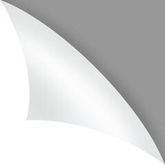 paper sheet turn curl and flip Curled page corner with shadow on transparent background. Blank sheet of page fold